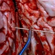 Photo Les Experts : Manhattan