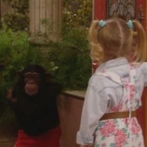 Photo La Fête à la maison