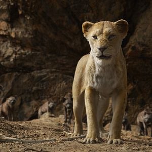 Photo Le Roi Lion