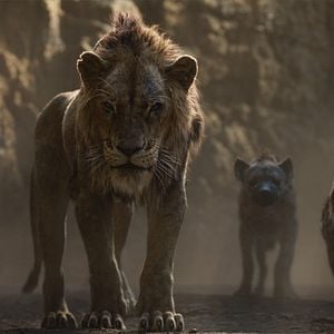 Photo Le Roi Lion