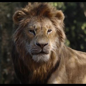Photo Le Roi Lion