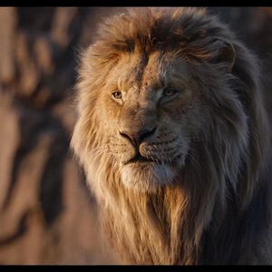 Photo Le Roi Lion