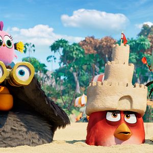 Photo Angry Birds : Copains comme cochons