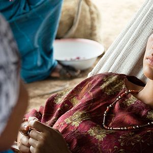 Photo Les Oiseaux de passage