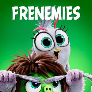 Photo Angry Birds : Copains comme cochons