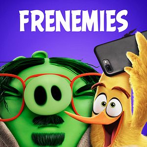 Photo Angry Birds : Copains comme cochons