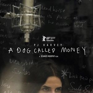 Photo A Dog Called Money