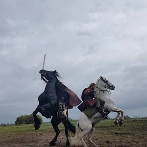 Photo Viking - L'invasion des Francs