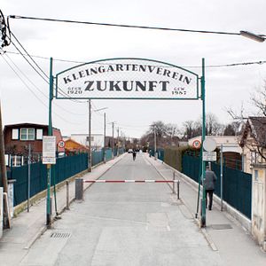 Photo Nobadi