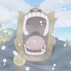Photo One Piece