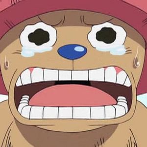 Photo One Piece