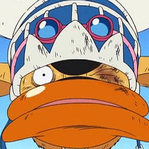 Photo One Piece