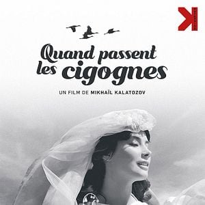 Photo Quand passent les cigognes