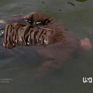 Photo New York Section Criminelle