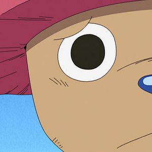 Photo One Piece