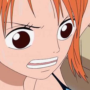 Photo One Piece
