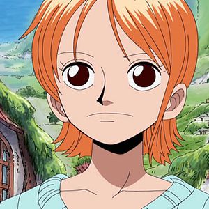 Photo One Piece