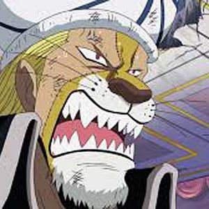 Photo One Piece