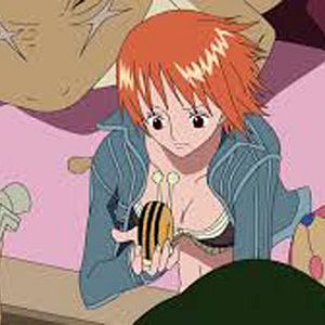 Photo One Piece