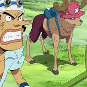Photo One Piece