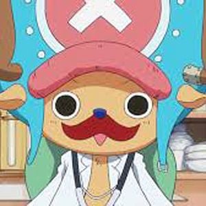 Photo One Piece