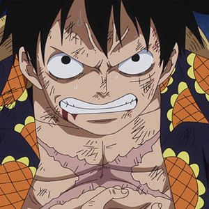 Photo One Piece
