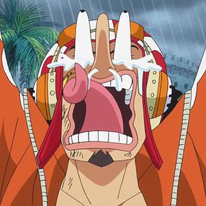 Photo One Piece