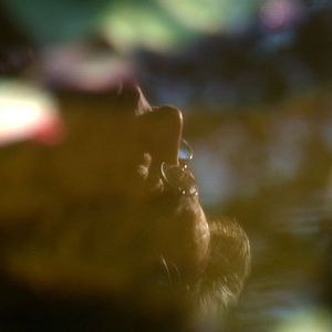 Photo Battlestar Galactica