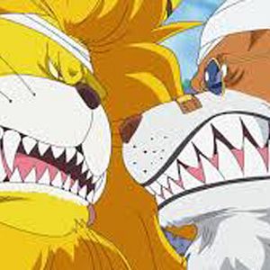 Photo One Piece