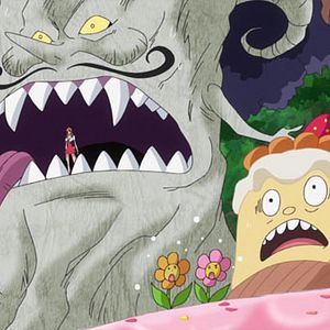 Photo One Piece