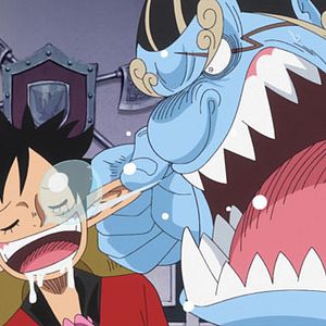 Photo One Piece
