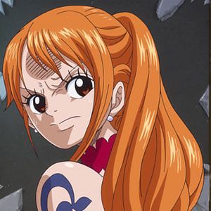 Photo One Piece
