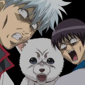 Photo Gintama