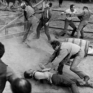 Photo La Belle rousse du Wyoming