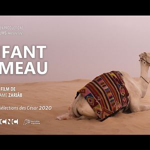 Photo L'Enfant chameau