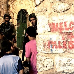 Photo Le Char et l'olivier, une autre histoire de la Palestine