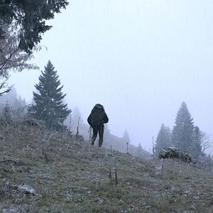 Photo Marche avec les loups