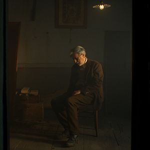 Photo Stories from the Chestnut Woods