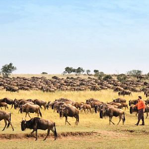 Photo Şahan Gökbakar