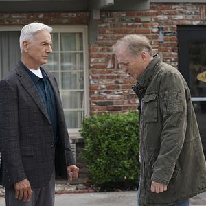 Photo Mark Harmon