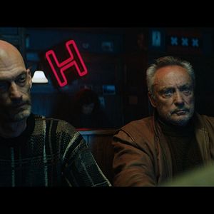 Photo American Animals