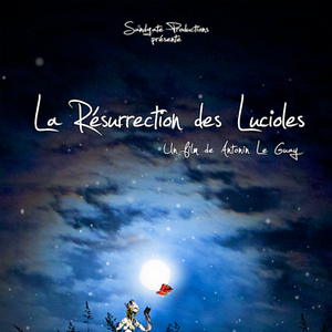 Photo La Résurrection Des Lucioles