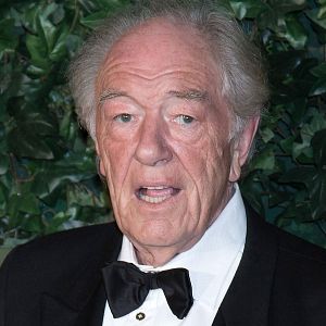 Photo Michael Gambon