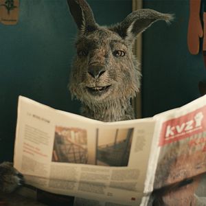 Photo The Kangaroo Chronicles