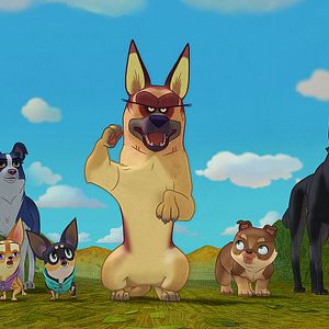 Photo Nous, les chiens