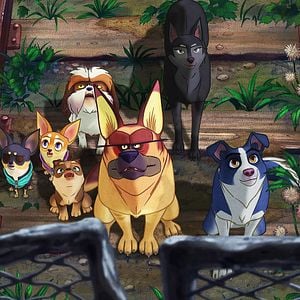 Photo Nous, les chiens