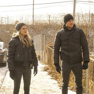 Photo Tracy Spiridakos