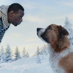 Photo L'Appel de la forêt