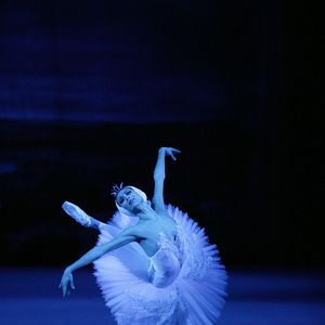 Photo Le Lac des cygnes (Ballet du Bolchoï)