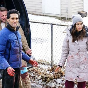 Photo Torrey DeVitto